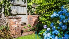 Don’t replace struggling plants ‘like for like’ as temperatures rise, RHS says