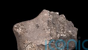Scientists discover source of one of the rarest meteorites to fall on Earth