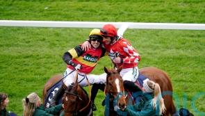 Cheltenham run key to Knight Salute campaign