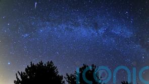 Orionid meteor shower to light up night sky