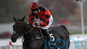 Mofasa battles back for Cheltenham win