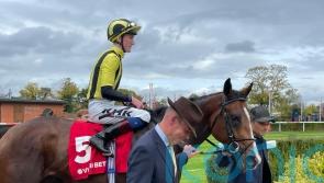 Knight strikes again to make light work of the Horris Hill