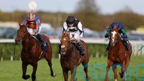 Legend Of Xanadu delivers in Doncaster Stakes