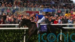 Auguste Rodin takes impressive Trophy triumph