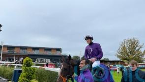 Magical Sunset shines to land Radley Stakes