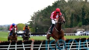 Mighty Potter set to make fencing debut next month