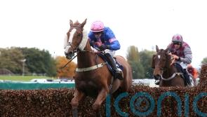Dingo Dollar cashes in at Aintree with veterans’ victory