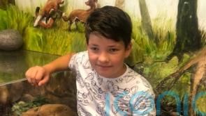 Family say they are ‘broken’ by death of boy, 12, in wall collapse