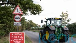 Second case of bird flu detected in Anglesey