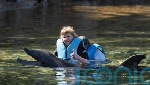 Sick children swim with dolphins on ‘once-in-a-lifetime’ free holiday in Florida