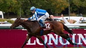 Blue Rose Cen poised to put Head name in lights again at the Breeders’ Cup