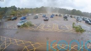 Tornado sweeps through zoo car park