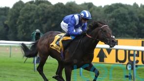 Minzaal to stand at Derrinstown Stud in 2023