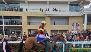 Harris sets out Elite aim for Knight Salute