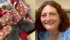 ‘Rabbit version of the crazy cat lady’ who decorates hutch for Christmas says pets help her deal with death of son