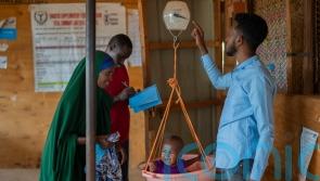 UN: Almost one million drought-hit Somalis in al-Shabab areas