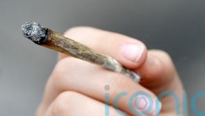 Germany unveils cannabis liberalisation plan