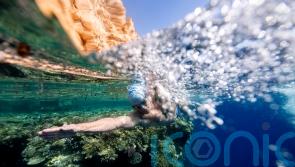 Endurance swimmer Lewis Pugh completes Red Sea swim to highlight coral plight