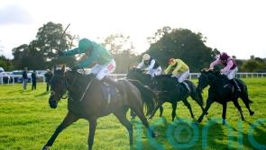 Wetherby specialist Good Boy Bobby looks set to miss Charlie Hall
