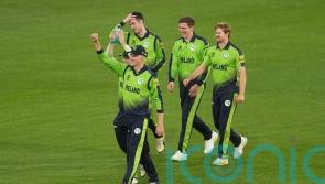 Consistency the next hurdle for ‘fearless’ Ireland – head coach Heinrich Malan