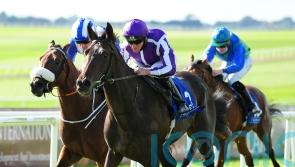 High Definition joins Joseph O’Brien to go hurdling