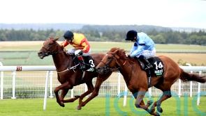 Durston to miss Melbourne Cup