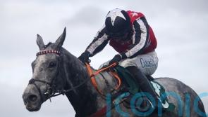 Lewis considering plans for stable star Straw Fan Jack
