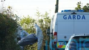 Gardai investigating man’s death bid to trace his final movements