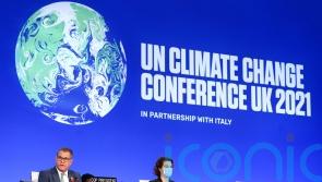 Rishi Sunak will not attend Cop27 summit