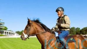 Ward sights set on Breeders’ Cup hat-trick for Golden Pal