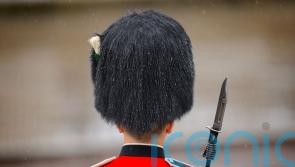 Peta threatens MoD with legal action in row over King’s Guards’ bearskin caps