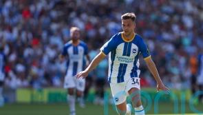 Brighton wait on Joel Veltman ahead of Chelsea clash