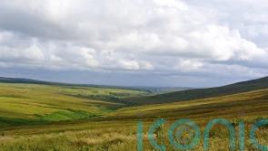 No evidence to support ‘big is bad’ position on land ownership, ministers told