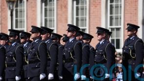 Justice Minister urged to increase Garda numbers to tackle rural crime