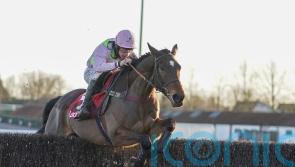 Ricci – Ground will dictate Royale Pagaille starting point