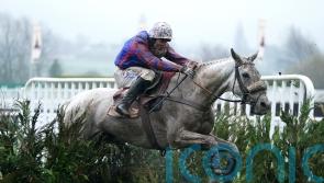 Bandey hoping to return Diesel D’Allier at the November meeting