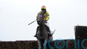 Betfair Chase ‘100 per cent’ the right race for Protektorat