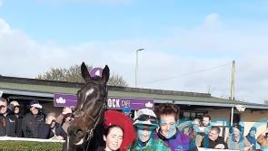Inthepocket takes the eye in Wexford victory