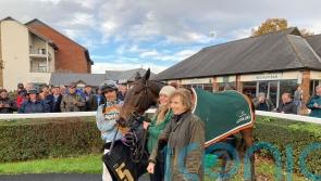 Beauport delights Twiston-Davies team in Colin Parker debut