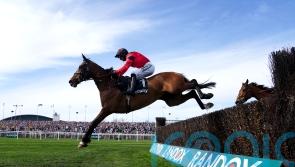 Russell retains Ahoy Senor faith following Wetherby disappointment