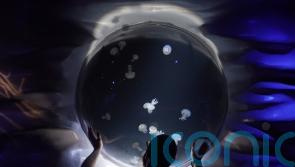 UK’s largest jellyfish to go on display at Sea Life London Aquarium
