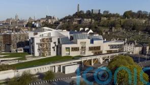 ‘Price tag’ of National Care Service not clear, MSPs told