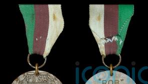 War dog’s gallantry medal and memorabilia sells for £140,000 at auction