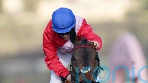 A Plus Tard stars in six entries for Betfair Chase