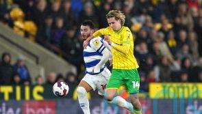 Carrow Road stalemate for Norwich and QPR