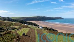UK’s largest ever wildflower grassland to be created