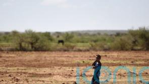 World must dramatically increase efforts to adapt to climate impacts, UN warns