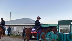 Gosden bullish ahead of Breeders&rsquo; Cup duo