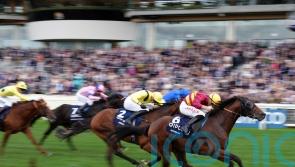 Bayside Boy retired to stand at Ballylinch Stud