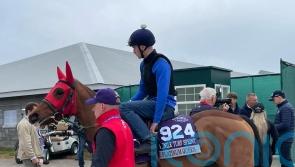 Middleham Park savouring ‘chance of a lifetime’ with The Platinum Queen